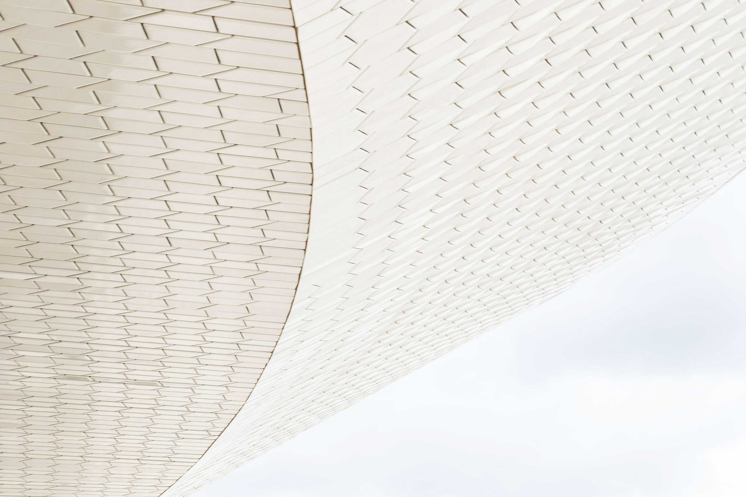 barbara-sampaio-g1NpIDNPj_c-unsplash